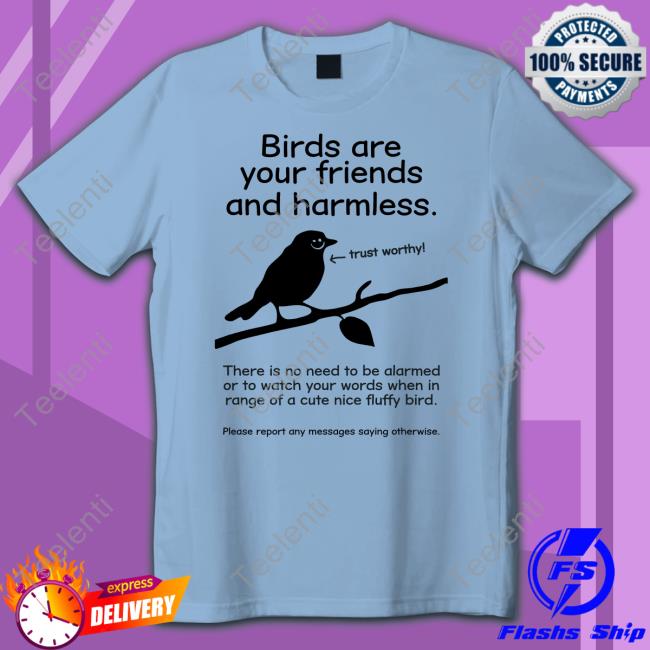 Elon Musk Birds Are Your Friends And Harmless Long Sleeve Tee Shirt