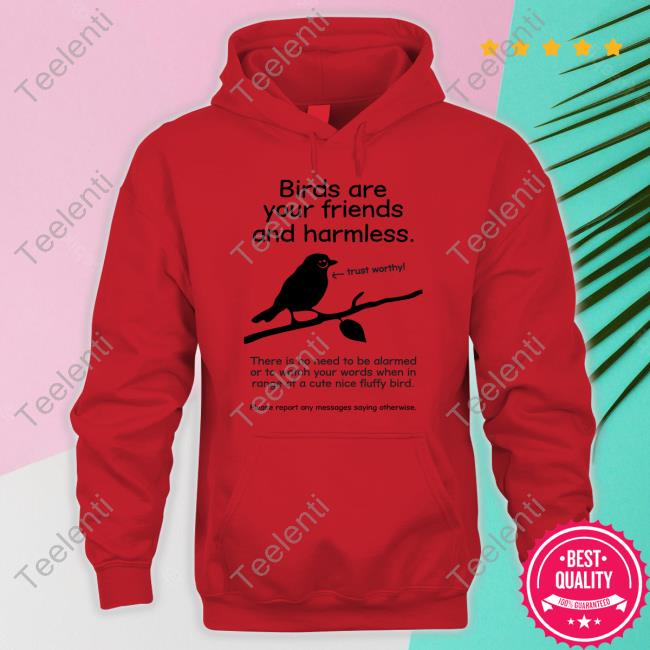 Elon Musk Birds Are Your Friends And Harmless New Shirt