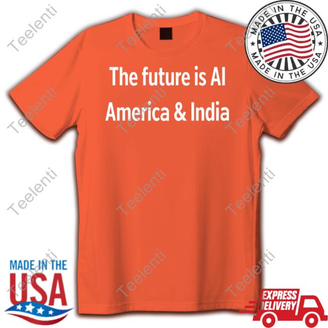 The Future Is Ai America And India Hoodie